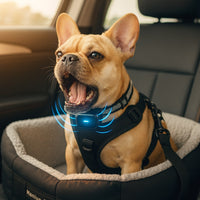 Dog Training Collar | Dog Collar for Barking Dogs | Barkly