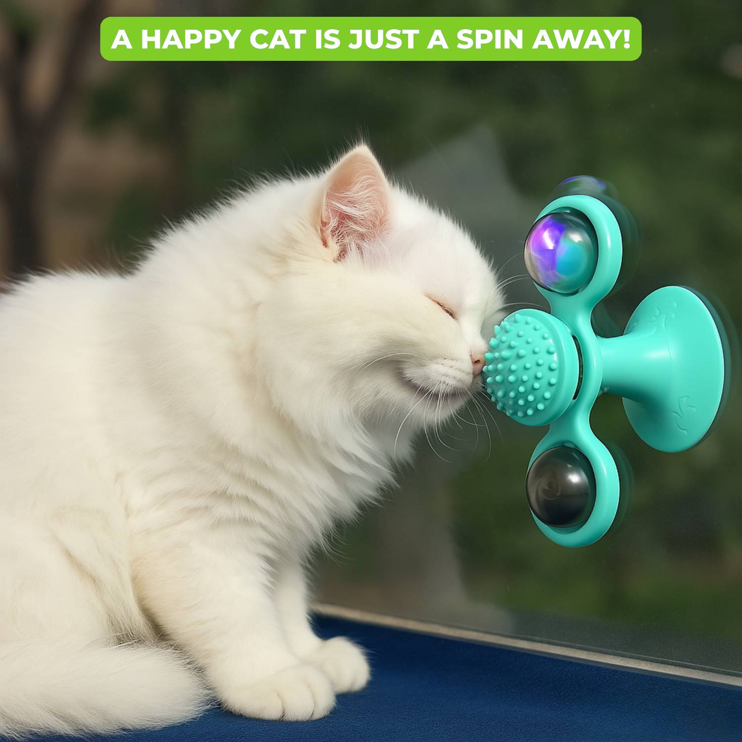 WhirlCat™ | For Happy & Active Cats