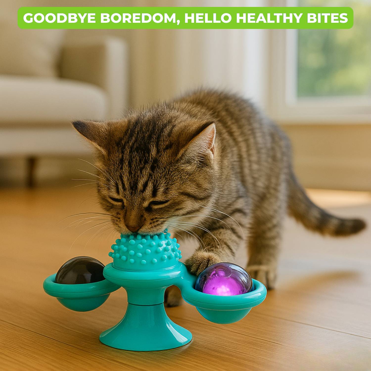 WhirlCat™ | For Happy & Active Cats
