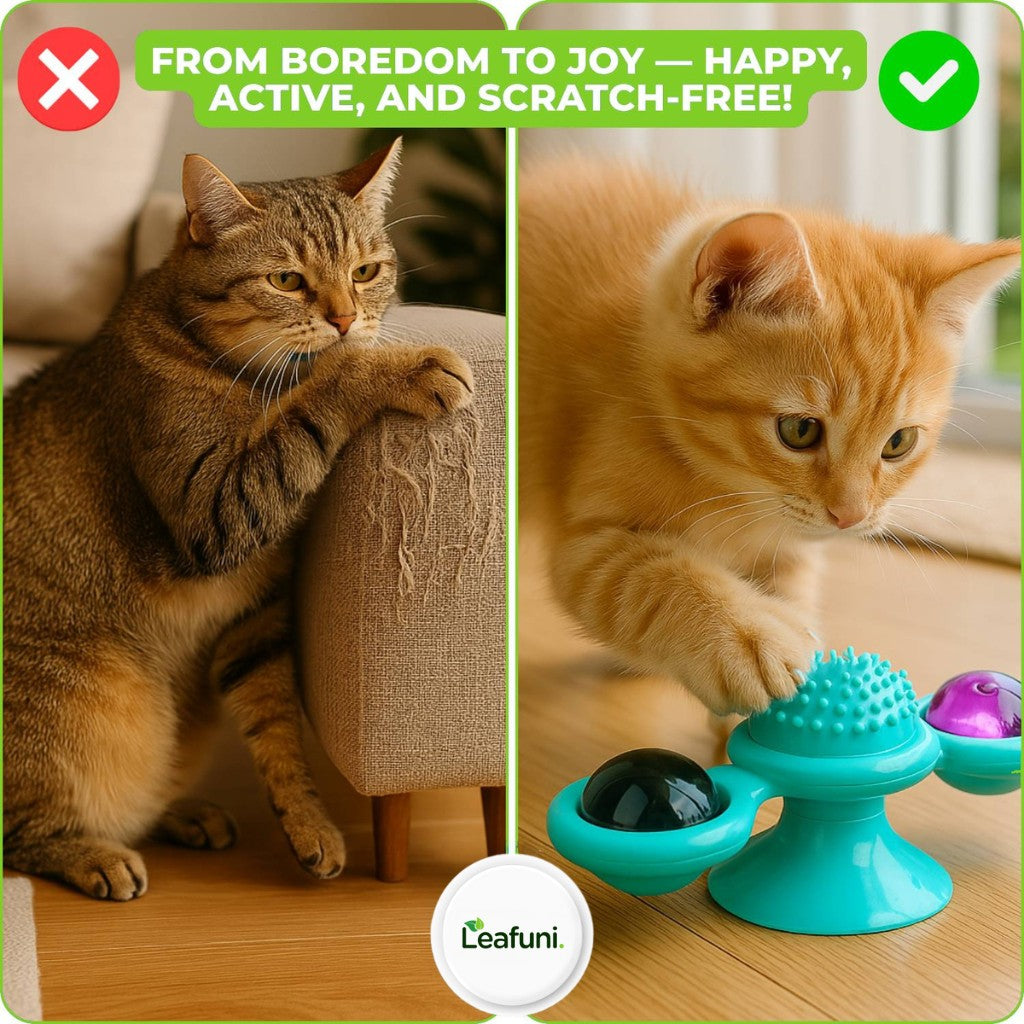 WhirlCat™ | For Happy & Active Cats