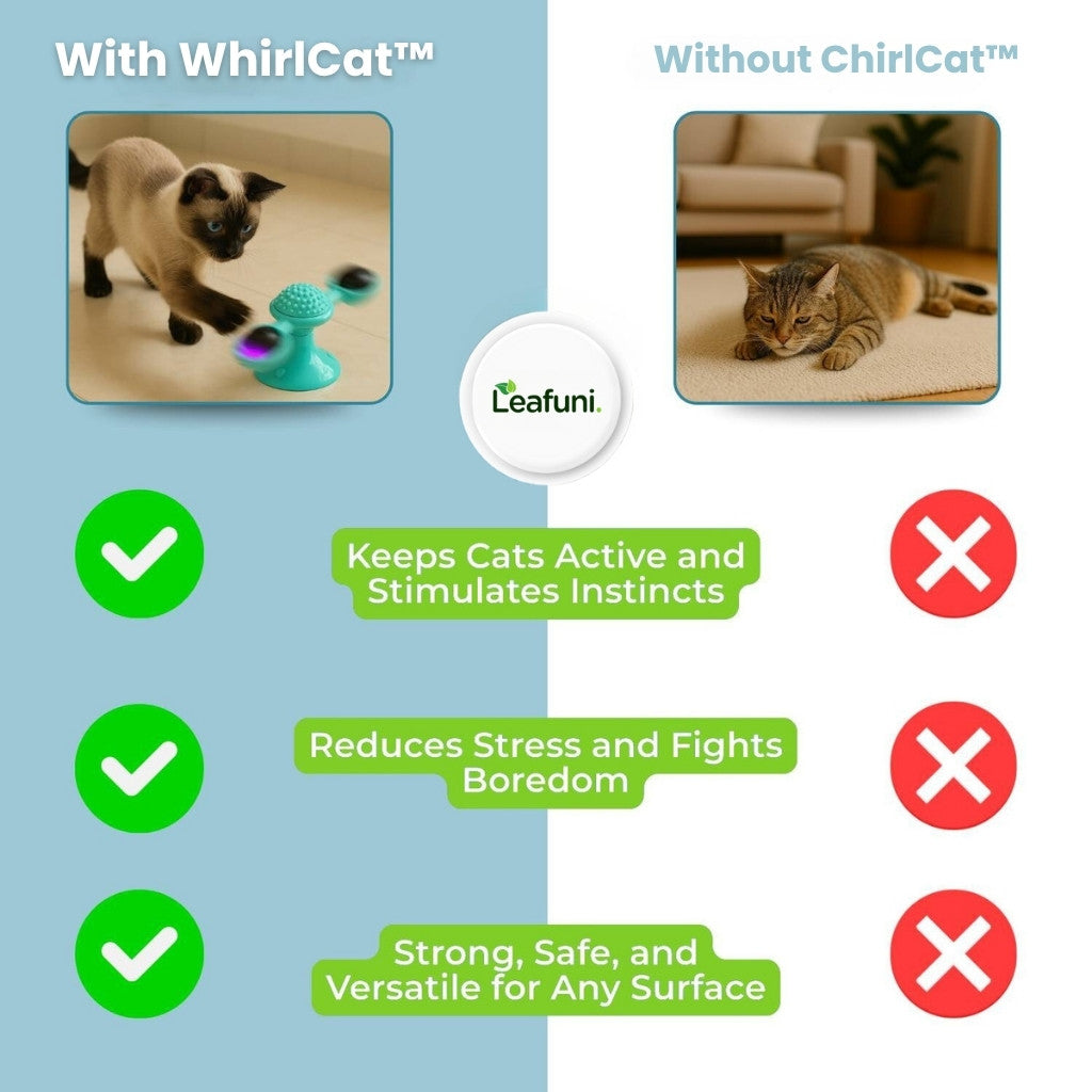 WhirlCat™ | For Happy & Active Cats